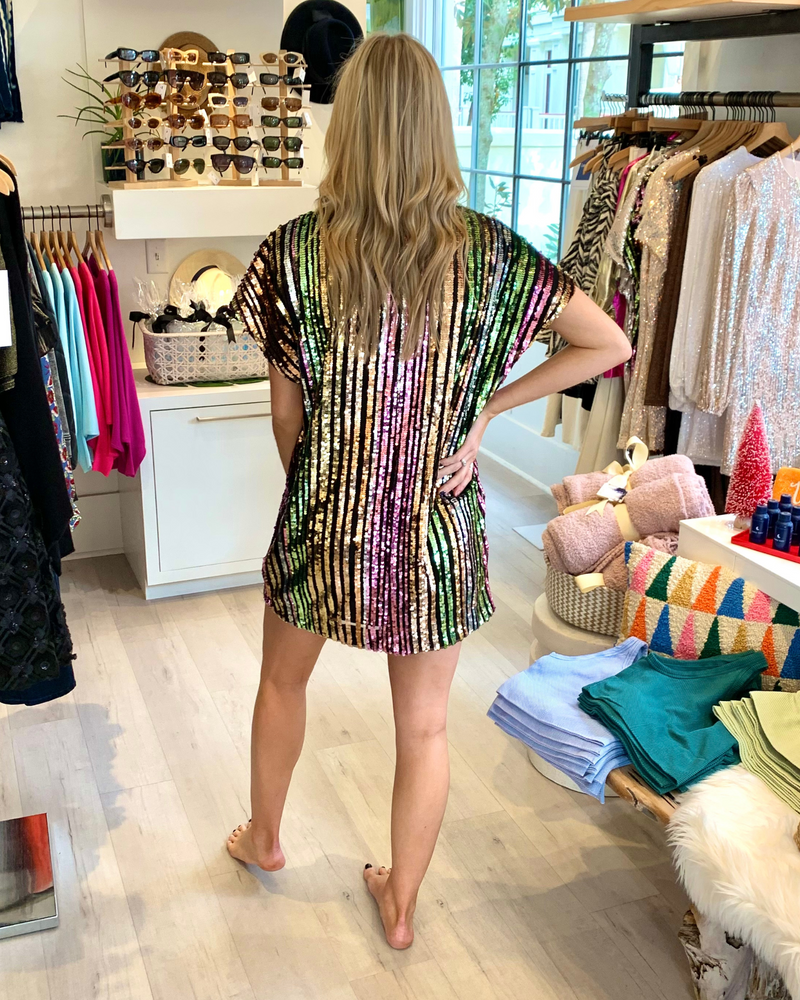 
                  
                    Load image into Gallery viewer, Woven Sequin V-Neck Dress in Multi
                  
                